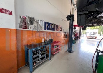 IMMAGINE08-ink.jpeg - Non Alimentare Imola - foto 8