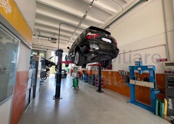 IMMAGINE10-ink.jpeg - Non Alimentare Imola - foto 10