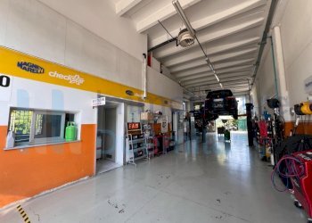 IMMAGINE12-ink.jpeg - Non Alimentare Imola - foto 12