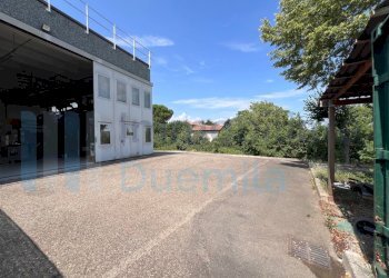 IMMAGINE24-ink.jpeg - Non Alimentare Imola - foto 24