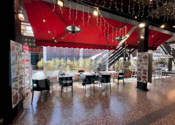 IMMAGINE20-ink.jpeg - Ristorante Bologna - foto 20