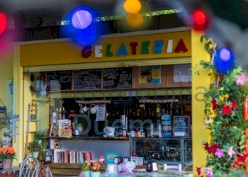 IMMAGINE02-ink.jpeg - Bar Tavola Calda - Fredda Dozza - foto 2