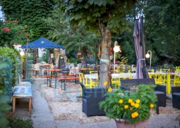 IMMAGINE04-ink.jpeg - Bar Tavola Calda - Fredda Dozza - foto 4