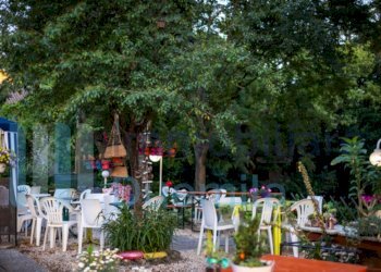 IMMAGINE05-ink.jpeg - Bar Tavola Calda - Fredda Dozza - foto 5