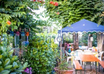 IMMAGINE06-ink.jpeg - Bar Tavola Calda - Fredda Dozza - foto 6