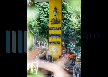 IMMAGINE09-ink.jpeg - Bar Tavola Calda - Fredda Dozza - foto 9