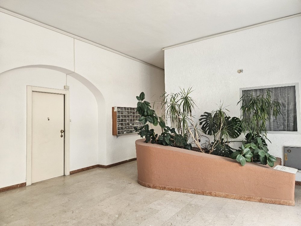 20250208_105143_resized.jpg - Apartment Via S. Elmo, Diano Marina - photo 3