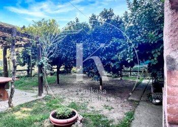 IMG_9861.jpeg - Villa Via per Calice, Finale Ligure - photo 11