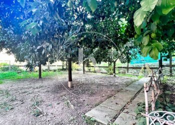 IMG_9872.jpeg - Villa Via per Calice, Finale Ligure - photo 16