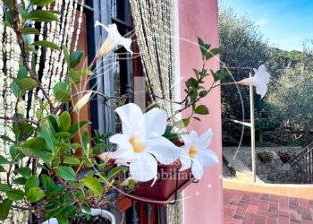 IMG_9882.jpeg - Villa Via per Calice, Finale Ligure - photo 21