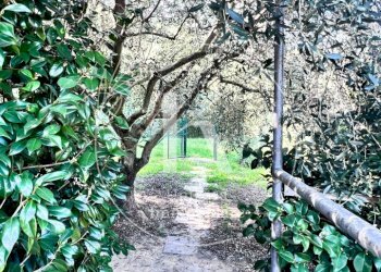 IMG_9887.jpeg - Villa Via per Calice, Finale Ligure - photo 23