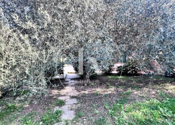 IMG_9893.jpeg - Villa Via per Calice, Finale Ligure - photo 26