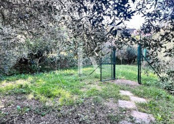 IMG_9895.jpeg - Villa Via per Calice, Finale Ligure - photo 27