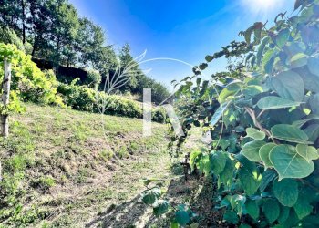 IMG_8997.jpeg - Semi-detached house Località Fornacca, Cosseria - photo 18