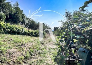 IMG_8998.jpeg - Semi-detached house Località Fornacca, Cosseria - photo 19