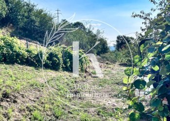 IMG_8999.jpeg - Semi-detached house Località Fornacca, Cosseria - photo 20