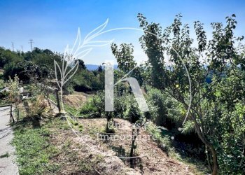 IMG_9011.jpeg - Semi-detached house Località Fornacca, Cosseria - photo 27