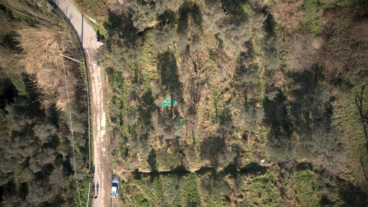 DJI_0695.jpg - Agricultural land Via Marmorassi 75, Savona - photo 2