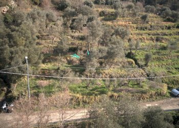 DJI_0700.jpg - Terreno agricolo Via Marmorassi 75, Savona - foto 6