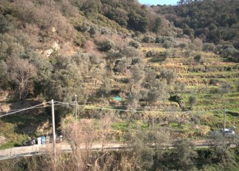 DJI_0703.jpg - Terreno agricolo Via Marmorassi 75, Savona - foto 7