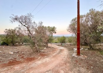 WhatsApp Image 2025-10-01 at 10.17.36.jpg - Casa indipendente Contrada Cicerali, Ostuni - foto 2
