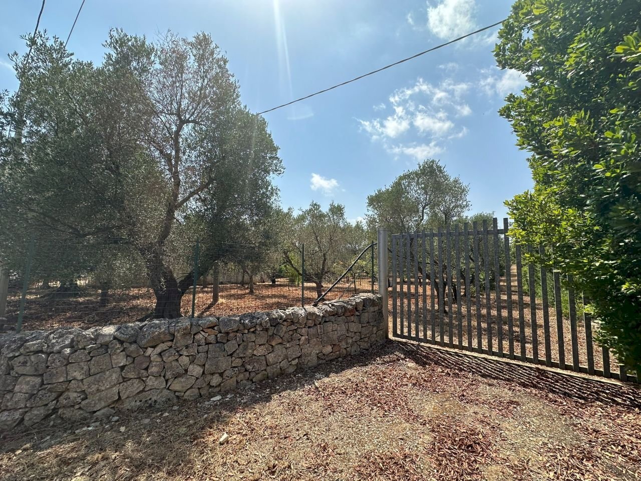 WhatsApp Image 2025-08-21 at 4.46.32 PM (3).jpeg - Villa SP28, Ostuni - photo 2