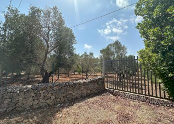 WhatsApp Image 2025-08-21 at 4.46.32 PM (3).jpeg - Villa SP28, Ostuni - foto 2