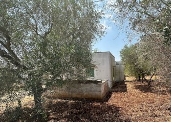 WhatsApp Image 2025-08-21 at 4.46.33 PM (1).jpeg - Villa SP28, Ostuni - foto 5