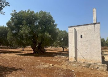 WhatsApp Image 2025-08-21 at 4.45.49 PM.jpeg - Casa indipendente Strada Statale 16 Adriatica, Ostuni - foto 1