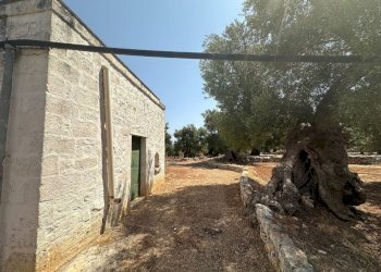 WhatsApp Image 2025-08-21 at 4.45.48 PM.jpeg - Casa indipendente Strada Statale 16 Adriatica, Ostuni - foto 6