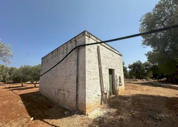 WhatsApp Image 2025-08-21 at 4.45.47 PM-4.jpeg - Casa indipendente Strada Statale 16 Adriatica, Ostuni - foto 9