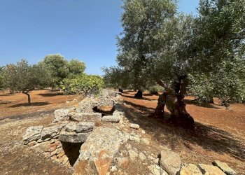 WhatsApp Image 2025-08-21 at 4.45.45 PM.jpeg - Casa indipendente Strada Statale 16 Adriatica, Ostuni - foto 23