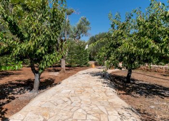 senza titolo-5.jpg - Villa contrada augelluzzi, San Michele Salentino - foto 6