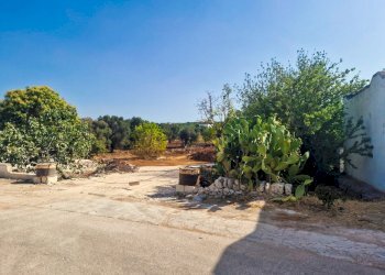 PHOTO-2025-07-21-17-46-52 2.jpg - Casale Contrada Mincuccio  N.C, Ostuni - foto 6