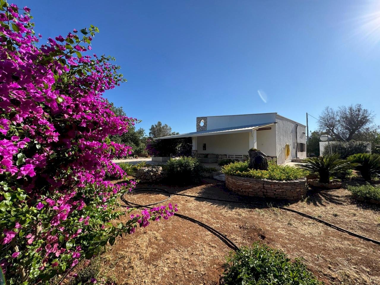 WhatsApp Image 2025-07-11 at 5.48.22 PM.jpeg - Villa Strada Provinciale 29, Ceglie Messapica - photo 3