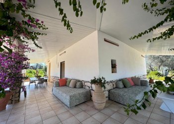 WhatsApp Image 2025-07-11 at 5.48.35 PM.jpeg - Villa Strada Provinciale 29, Ceglie Messapica - foto 2