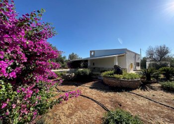 WhatsApp Image 2025-07-11 at 5.48.22 PM.jpeg - Villa Strada Provinciale 29, Ceglie Messapica - foto 3