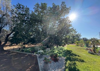 WhatsApp Image 2025-07-11 at 5.48.38 PM-2.jpeg - Villa Strada Provinciale 29, Ceglie Messapica - foto 4