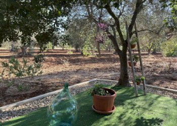 WhatsApp Image 2025-07-11 at 5.44.33 PM.jpeg - Villa Strada Provinciale 29, Ceglie Messapica - foto 5