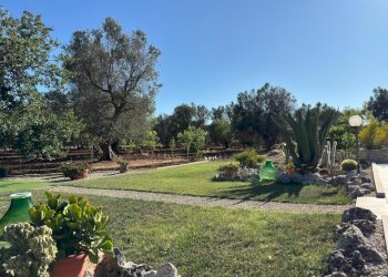 WhatsApp Image 2025-07-11 at 5.48.14 PM-2.jpeg - Villa Strada Provinciale 29, Ceglie Messapica - foto 6