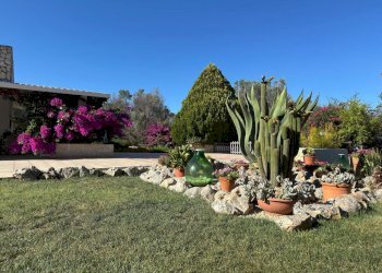 WhatsApp Image 2025-07-11 at 5.48.14 PM.jpeg - Villa Strada Provinciale 29, Ceglie Messapica - foto 7