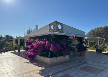 WhatsApp Image 2025-07-11 at 5.48.15 PM.jpeg - Villa Strada Provinciale 29, Ceglie Messapica - foto 8