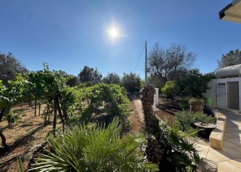 WhatsApp Image 2025-07-11 at 5.48.26 PM.jpeg - Villa Strada Provinciale 29, Ceglie Messapica - foto 21