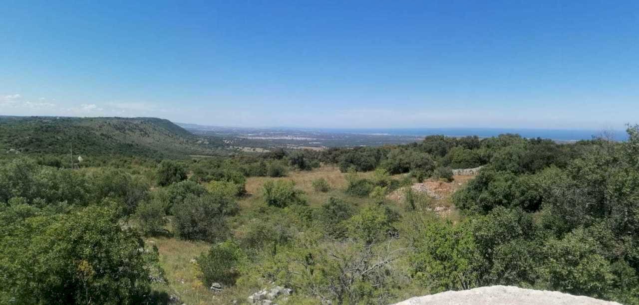 PHOTO-2025-06-12-14-23-49 2.jpg - Casa indipendente santuario san biagio, Ostuni - foto 1