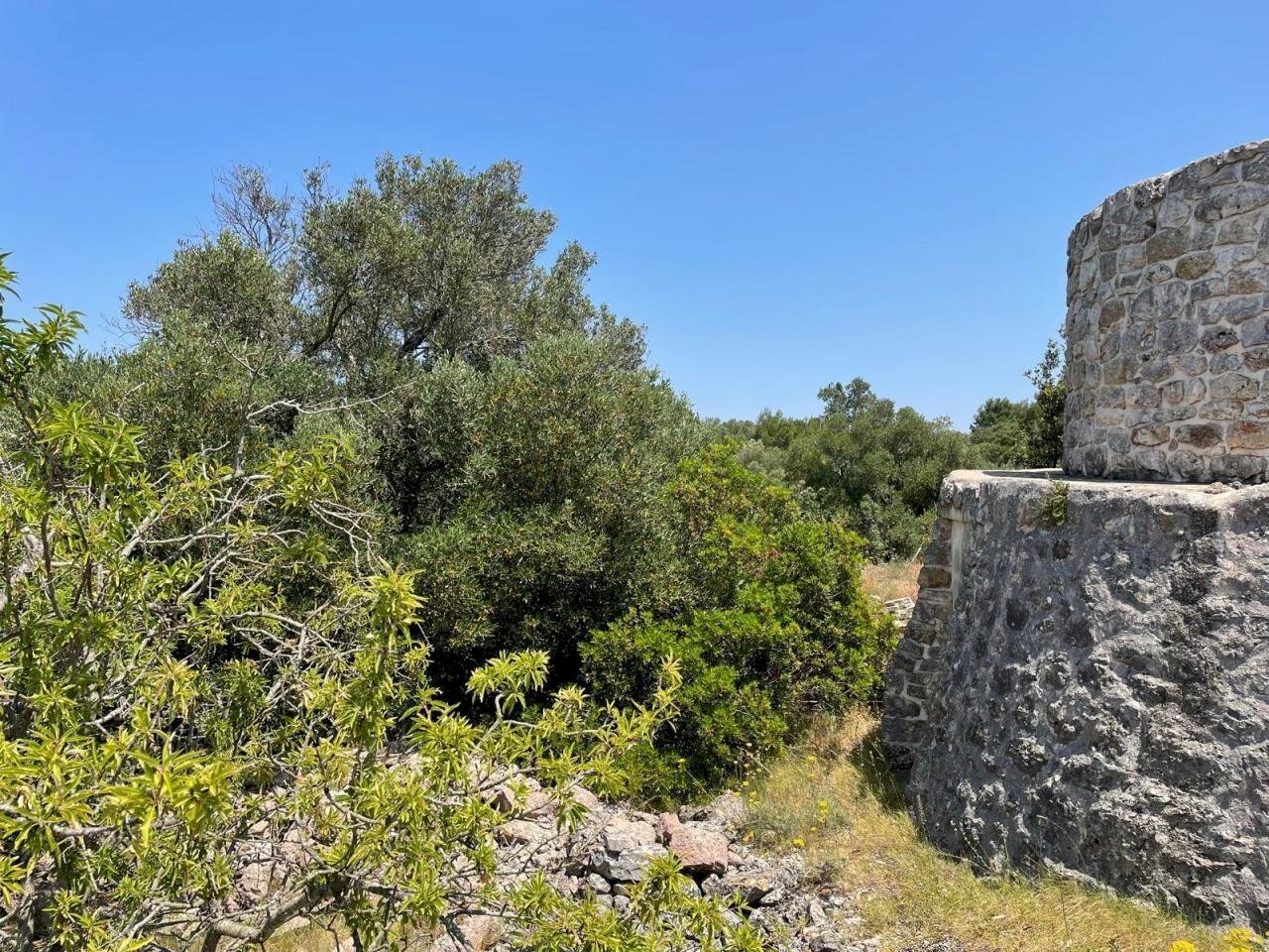 PHOTO-2025-06-12-16-47-29 2.jpg - Casa indipendente santuario san biagio, Ostuni - foto 2