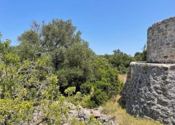 PHOTO-2025-06-12-16-47-29 2.jpg - Casa indipendente santuario san biagio, Ostuni - foto 2