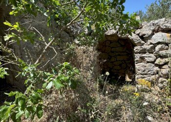 PHOTO-2025-06-12-14-22-07 2.jpg - Casa indipendente santuario san biagio, Ostuni - foto 7