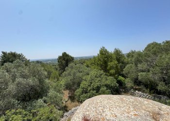 PHOTO-2025-06-12-14-22-19.jpg - Casa indipendente santuario san biagio, Ostuni - foto 11