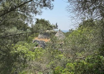 PHOTO-2025-06-12-14-22-21 2.jpg - Casa indipendente santuario san biagio, Ostuni - foto 13
