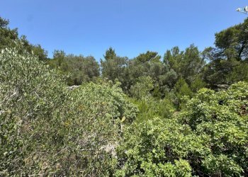 PHOTO-2025-06-12-14-18-42.jpg - Casa indipendente santuario san biagio, Ostuni - foto 23